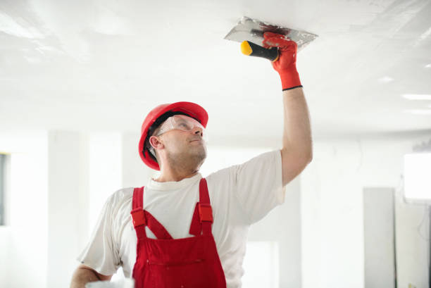 Best Drywall Patching  in USA